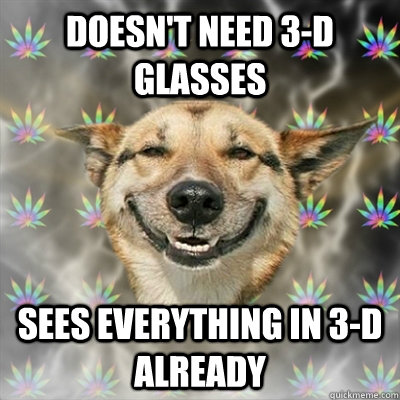 doesn't need 3-D glasses sees everything in 3-d already  Stoner Dog