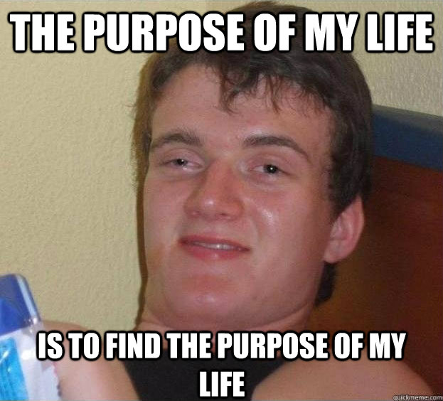 The purpose of my life is to find the purpose of my life   The High Guy
