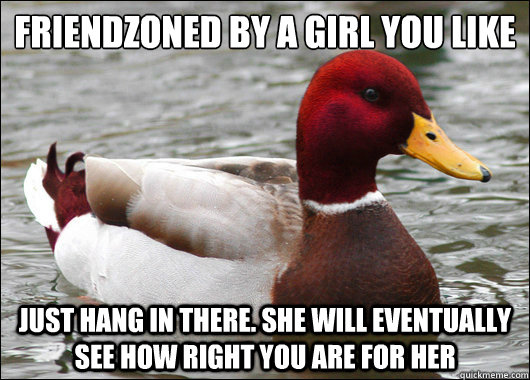 friendzoned by a girl you like
 just hang in there. she will eventually see how right you are for her  Malicious Advice Mallard