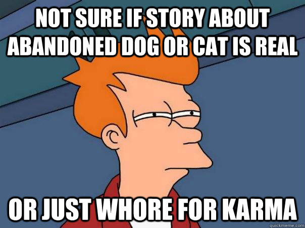 Not sure if story about abandoned dog or cat is real Or just whore for karma  Futurama Fry