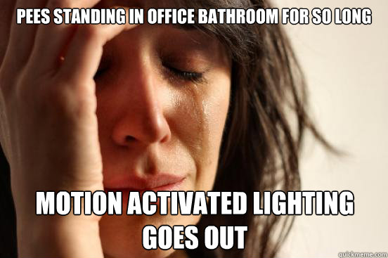 Pees standing in office bathroom for so long Motion Activated Lighting goes out  First World Problems