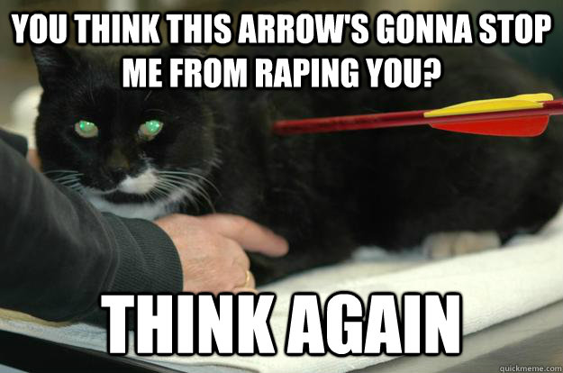 You think this arrow's gonna stop me from raping you? Think again - You think this arrow's gonna stop me from raping you? Think again  Worlds Toughest Cat