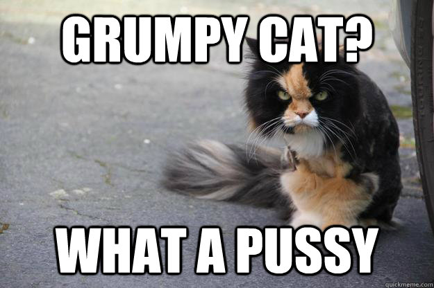 Grumpy Cat? What a pussy - Grumpy Cat? What a pussy  Angry Cat