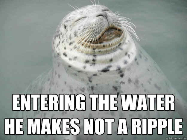 Entering the water he makes not a ripple  Zen Seal