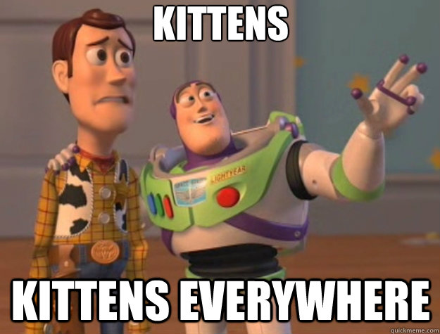 Kittens Kittens everywhere  Toy Story
