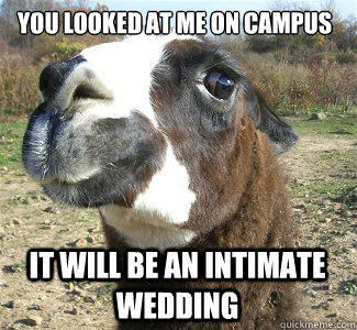 You looked at me on campus it will be an intimate wedding  