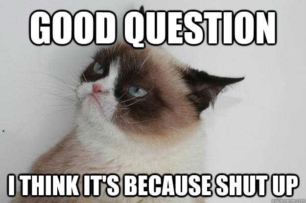 Good Question I think it's because shut up - Good Question I think it's because shut up  Philosophical Grumpy Cat