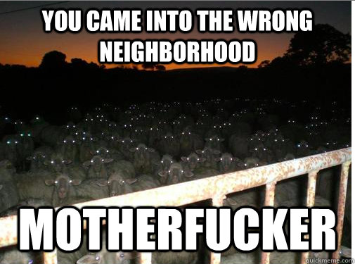You came into the wrong neighborhood motherfucker - You came into the wrong neighborhood motherfucker  Motherfucking sheep