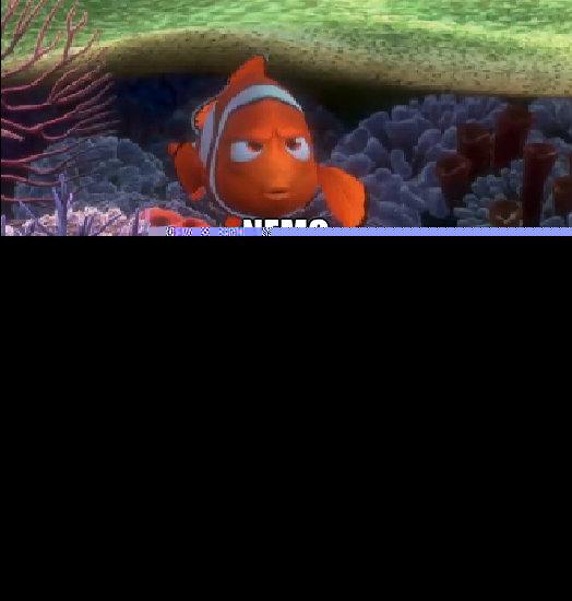 Nemo. 
Dont Touch the butt.. YOLO  