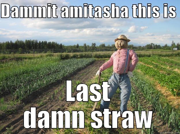 DAMMIT AMITASHA THIS IS  LAST DAMN STRAW Scarecrow