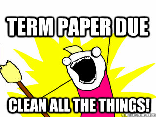 CLEAN ALL THE THINGS! TERM PAPER DUE  All The Thigns