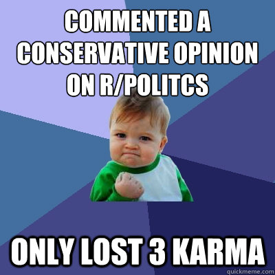 commented a conservative opinion on r/Politcs only lost 3 karma  Success Kid