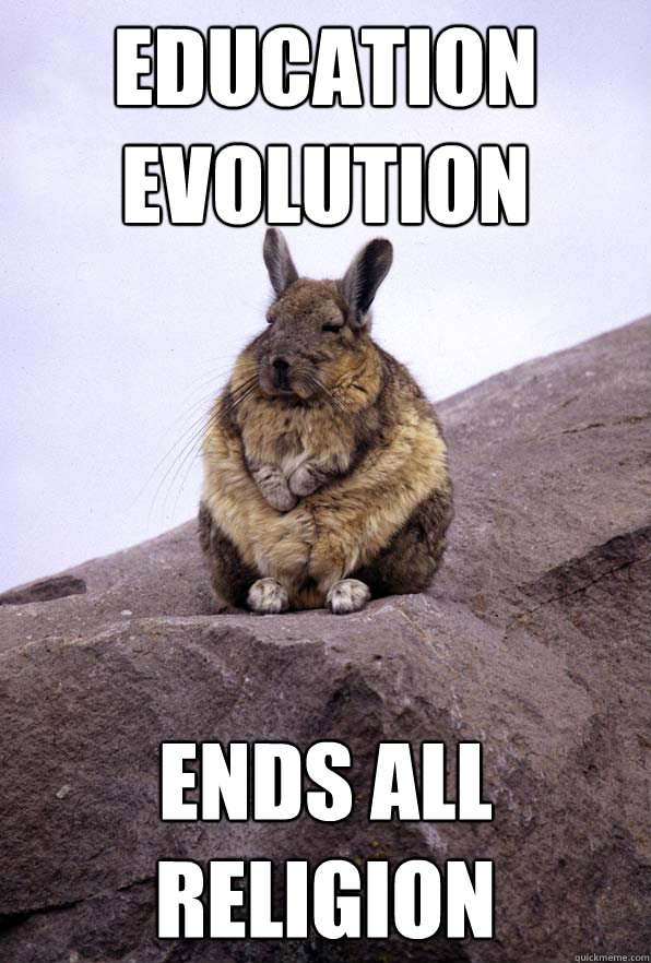 EDUCATION EVOLUTION ENDS ALL RELIGION  Wise Wondering Viscacha