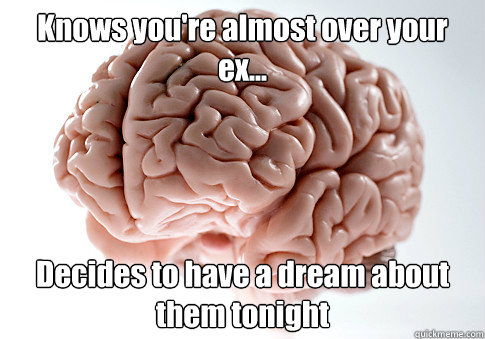 Knows you're almost over your ex... Decides to have a dream about them tonight   Scumbag Brain