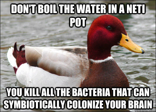 Don't boil the water in a neti pot you kill all the bacteria that can symbiotically colonize your brain  Malicious Advice Mallard