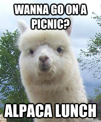 Wanna go on a picnic? Alpaca lunch  Alpaca-pun Alpaca