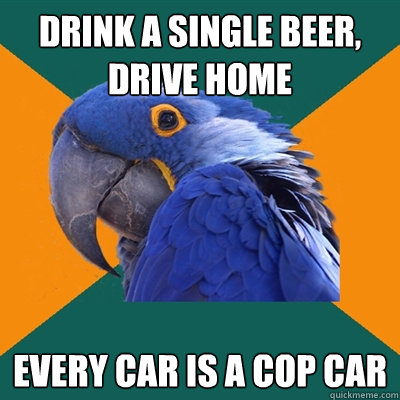 drink a single beer, drive home every car is a cop car  Paranoid Parrot