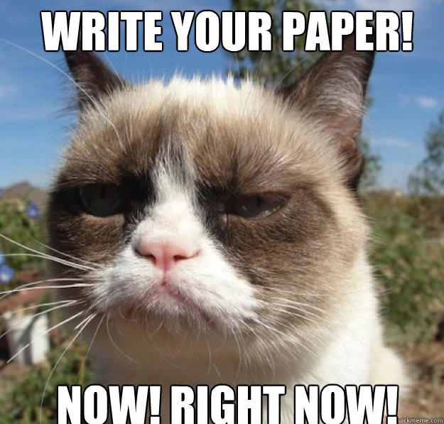 write your paper! now! right now! - write your paper! now! right now!  Misc