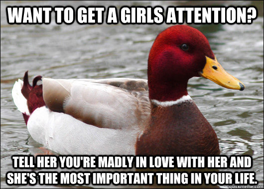 Want to get a girls attention? Tell her you're madly in love with her and she's the most important thing in your life.   Malicious Advice Mallard