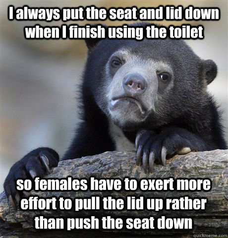 I always put the seat and lid down when I finish using the toilet  so females have to exert more effort to pull the lid up rather than push the seat down  Confession Bear