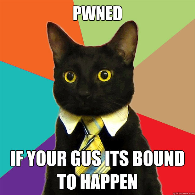 pwned if your gus its bound to happen  Business Cat