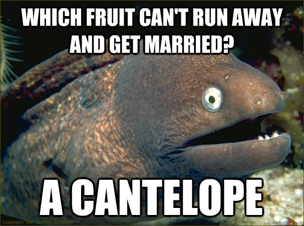 WHICH FRUIT CAN'T RUN AWAY AND GET MARRIED? A CANTELOPE  Bad Joke Eel