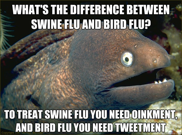 What's the difference between swine flu and bird flu? To treat swine flu you need oinkment, and bird flu you need tweetment - What's the difference between swine flu and bird flu? To treat swine flu you need oinkment, and bird flu you need tweetment  Bad Joke Eel