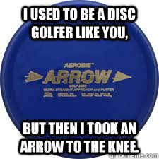 I Used to be a disc golfer like you, but then i took an arrow to the knee. - I Used to be a disc golfer like you, but then i took an arrow to the knee.  skyrim disc golf