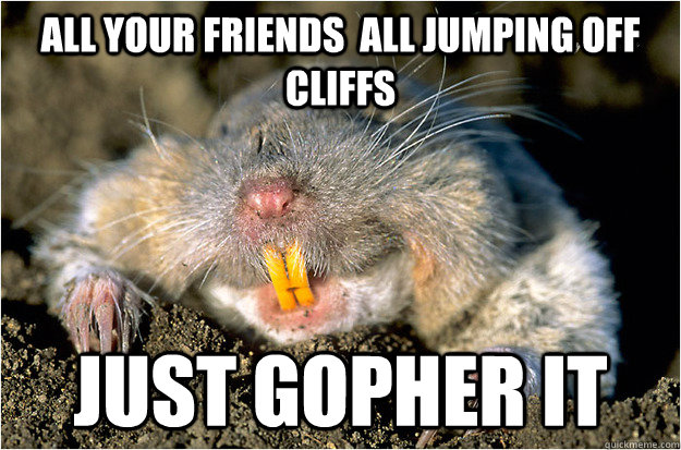 all your friends  all jumping off cliffs just gopher it  Just gopher it