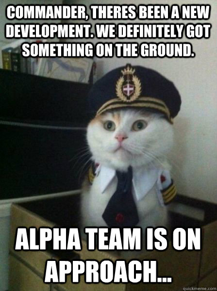 commander, theres been a new development. we definitely got something on the ground. alpha team is on approach...  Captain kitteh