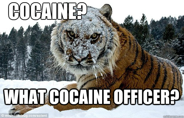 cocaine? what cocaine officer? - cocaine? what cocaine officer?  Coke Tiger
