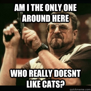 Am i the only one around here Who really doesnt  like cats? - Am i the only one around here Who really doesnt  like cats?  Am I The Only One Round Here