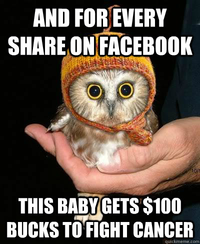 ANd for every share on facebook this baby gets $100 bucks to fight cancer  Snopeless Owl