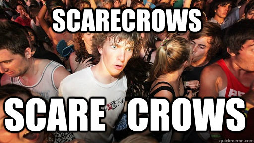 Scarecrows Scare   Crows  Sudden Clarity Clarence