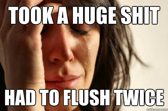 Took a huge shit Had to flush twice  First World Problems