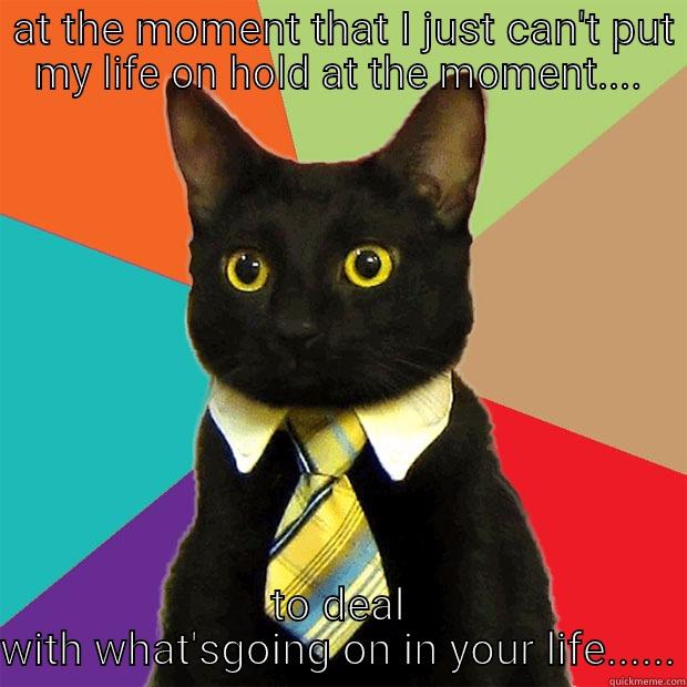 My hands are tied -  AT THE MOMENT THAT I JUST CAN'T PUT MY LIFE ON HOLD AT THE MOMENT.... TO DEAL WITH WHAT'SGOING ON IN YOUR LIFE...... Business Cat
