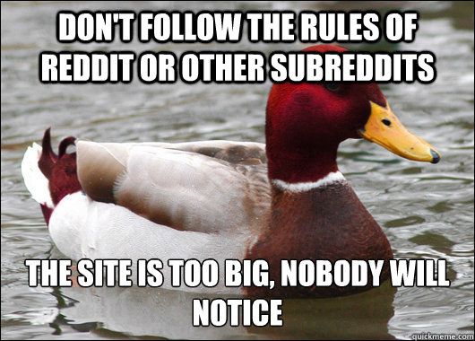 Don't follow the rules of reddit or other subreddits The site is too big, nobody will notice  Malicious Advice Mallard