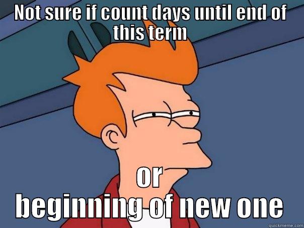 NOT SURE IF COUNT DAYS UNTIL END OF THIS TERM OR BEGINNING OF NEW ONE Futurama Fry