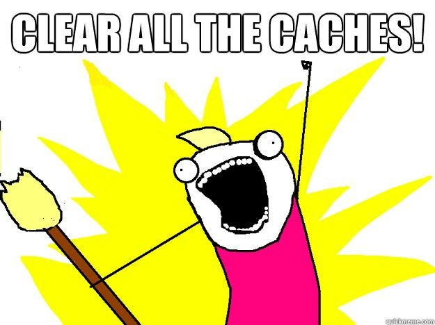 clear all the caches!   Hyperbole And a Half