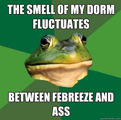the smell of my dorm fluctuates between Febreeze and Ass  Foul Bachelor Frog