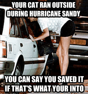 your cat ran outside during Hurricane sandy you can say you saved it if that's what your into  Karma Whore