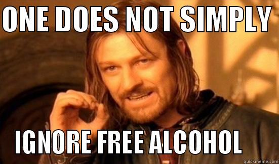 ONE DOES NOT SIMPLY  IGNORE FREE ALCOHOL     Boromir