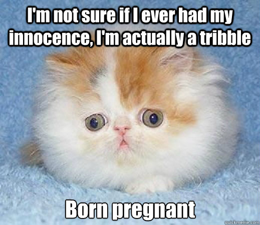 I'm not sure if I ever had my innocence, I'm actually a tribble Born pregnant  Loss of Innocence Cat