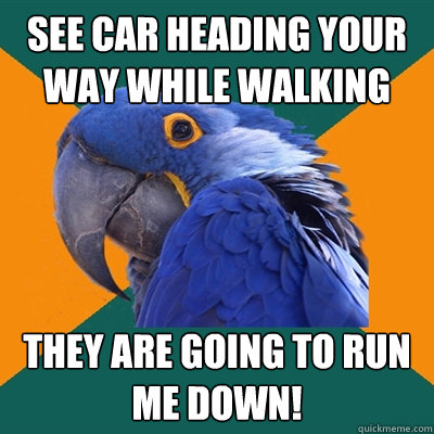 See car heading your way while walking They are going to run me down!  Paranoid Parrot