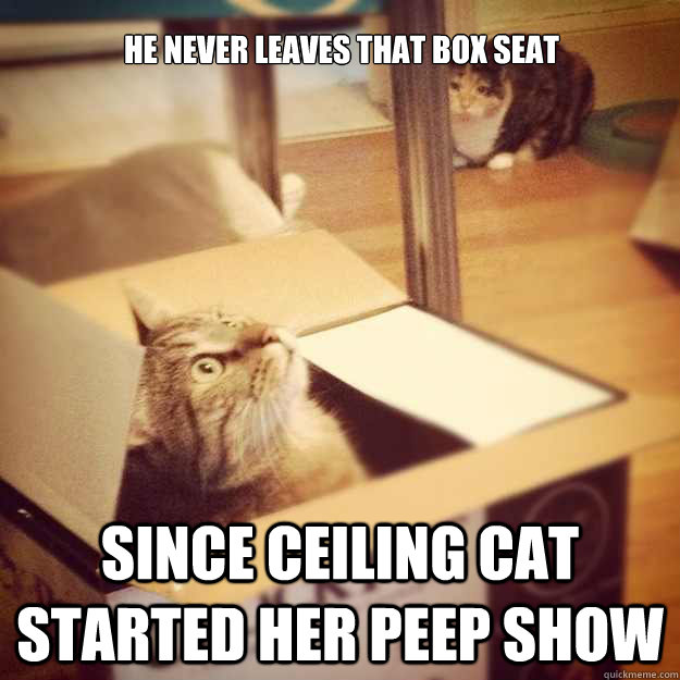 He never leaves that box seat since ceiling cat started her peep show - He never leaves that box seat since ceiling cat started her peep show  Cats wife