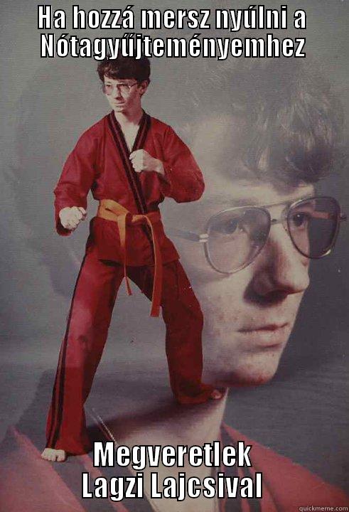 HA HOZZÁ MERSZ NYÚLNI A NÓTAGYŰJTEMÉNYEMHEZ MEGVERETLEK LAGZI LAJCSIVAL Karate Kyle