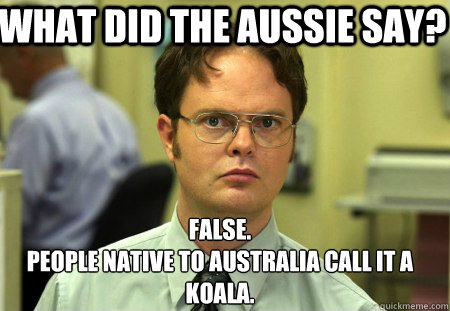 what did the Aussie say? False.
People native to Australia call it a Koala. - what did the Aussie say? False.
People native to Australia call it a Koala.  Schrute