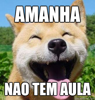 amanha NAO TEM AULA  Happy dog