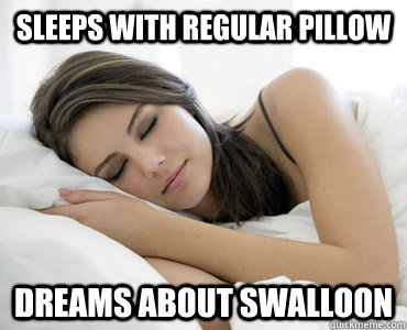 Sleeps with regular pillow Dreams about Swalloon  Sleep Meme