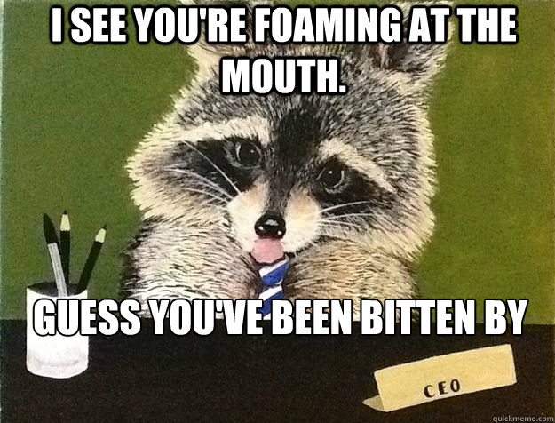I see you're foaming at the mouth.  Guess you've been bitten by the business bug, too.  - I see you're foaming at the mouth.  Guess you've been bitten by the business bug, too.   Business Raccoon
